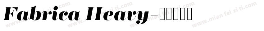 Fabrica Heavy字体转换